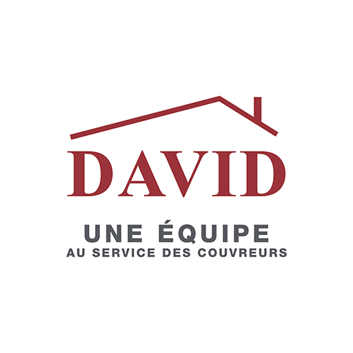 david-zinc-logo-depann-toit